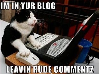 lolcats blog rude comments