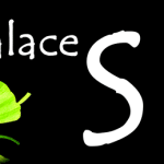 white palace spa in paranaque massage manila1