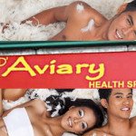 d aviary health spa cebu philippines massage manila touch image