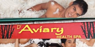 d aviary health spa cebu philippines massage manila touch image