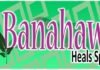 banahaw heal spa marikina manila touch massage image
