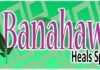 banahaw heal spa marikina manila touch massage image
