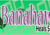 banahaw healing spa pandacan manila touch ph massage image