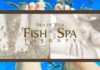 isla de vida fish spa las pinas malate manila philippines massage image2