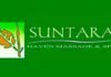 suntara haven massage and spa taguig city philippines manila touch image