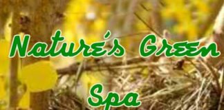 natures greens spa kamias quezon city philippines massage extra service image