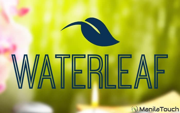 waterleaf wellness spa quezon cty massage philippines e rodriguez image1