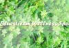 bluestream wellness spa las pinas massage philippines male female home hotel service image