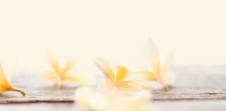 Representative massage and spa setting